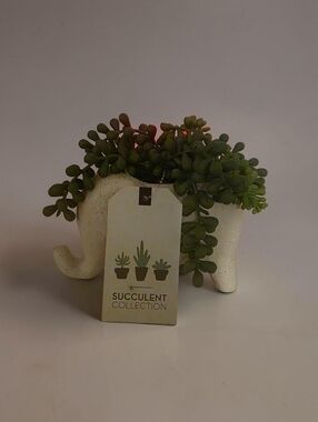 NWT 4 AVAILABLE White Elephant Planter with Green Faux Succulent.